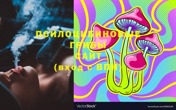 марки lsd Заводоуковск