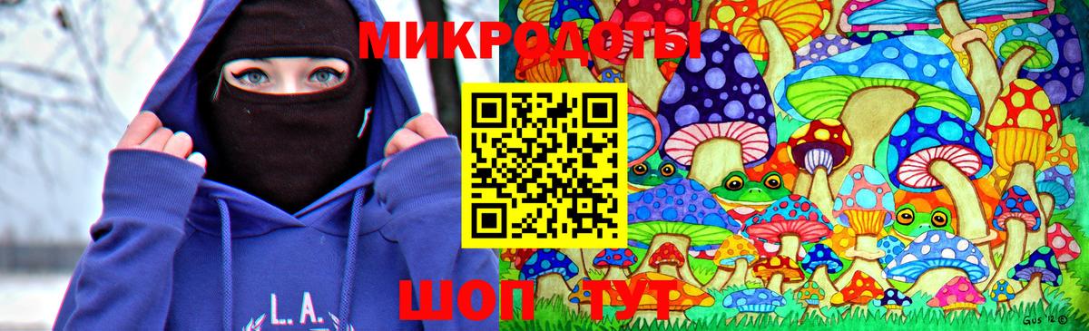 Галлюциногенные грибы Psilocybine cubensis Краснодар