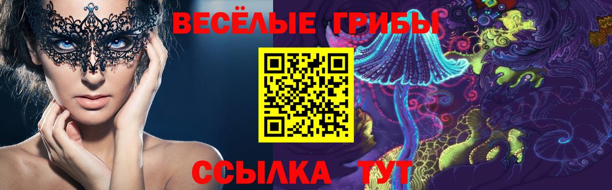 Краснодар  Псилоцибиновые грибы Psilocybine cubensis  наркота  Вход с VPN 